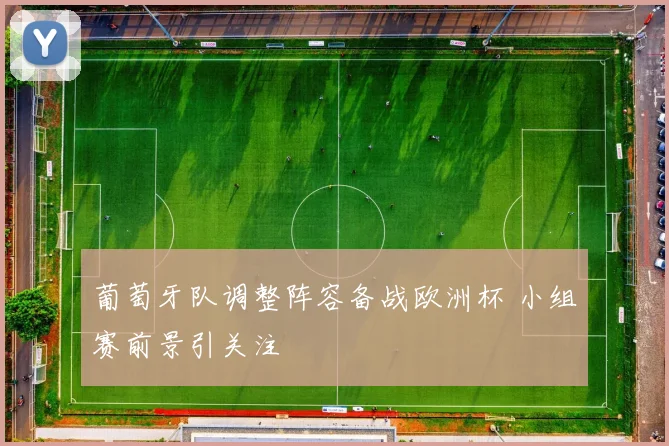 葡萄牙队调整阵容备战欧洲杯 小组赛前景引关注