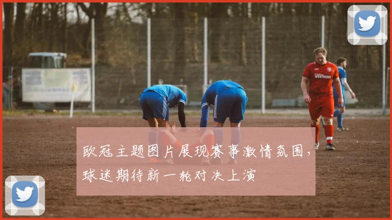 欧冠主题图片展现赛事激情氛围,球迷期待新一轮对决上演