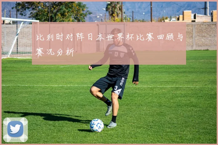 比利时对阵日本世界杯比赛回顾与赛况分析