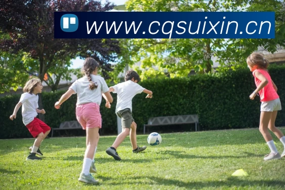 多媒体互动体验